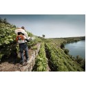 Pulverizador SR 430 - STIHL